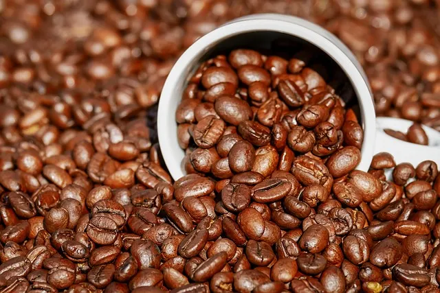 Coffee Cup
